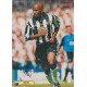 Signed picture of Didier Domi the Newcastle United footballer